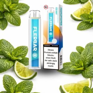 FLERBAR Disposable Vape – Ice Mint